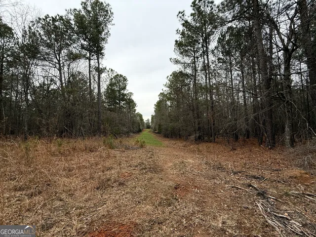 $165,000 | 0 Veribest Road, Carlton, GA 30627