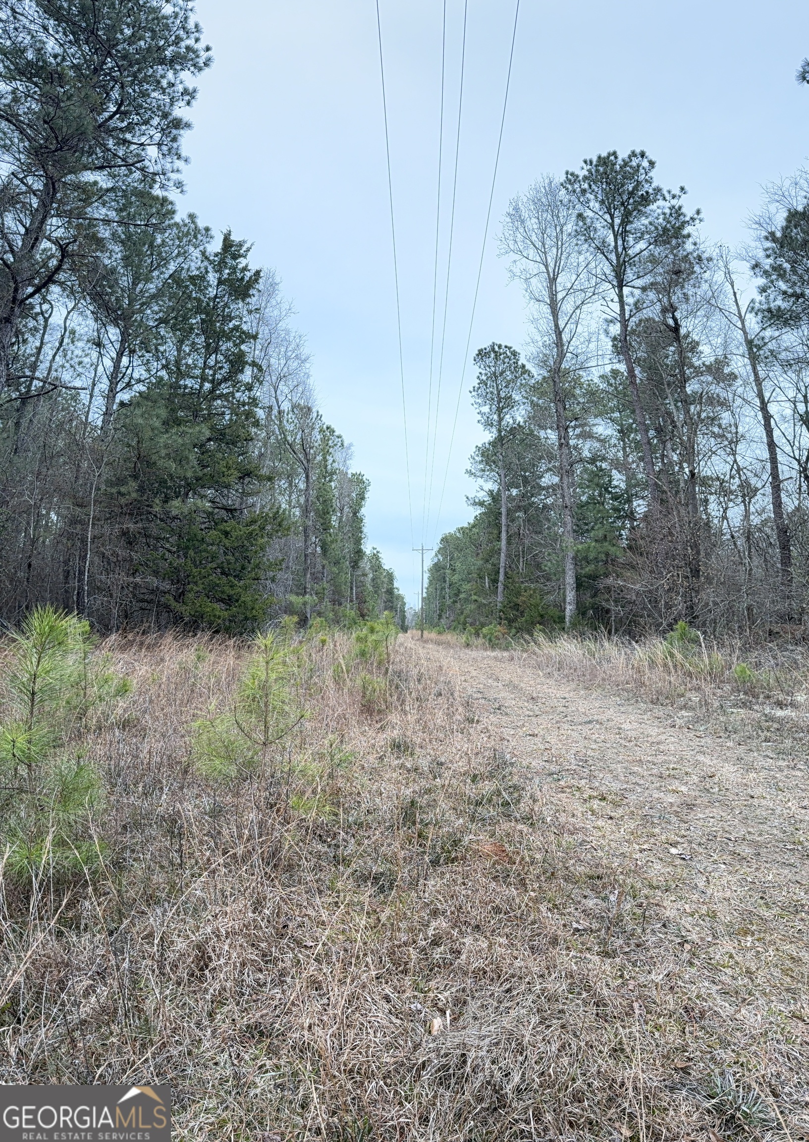 0 Veribest Road Carlton, GA 30627 - Photo 3 of 7