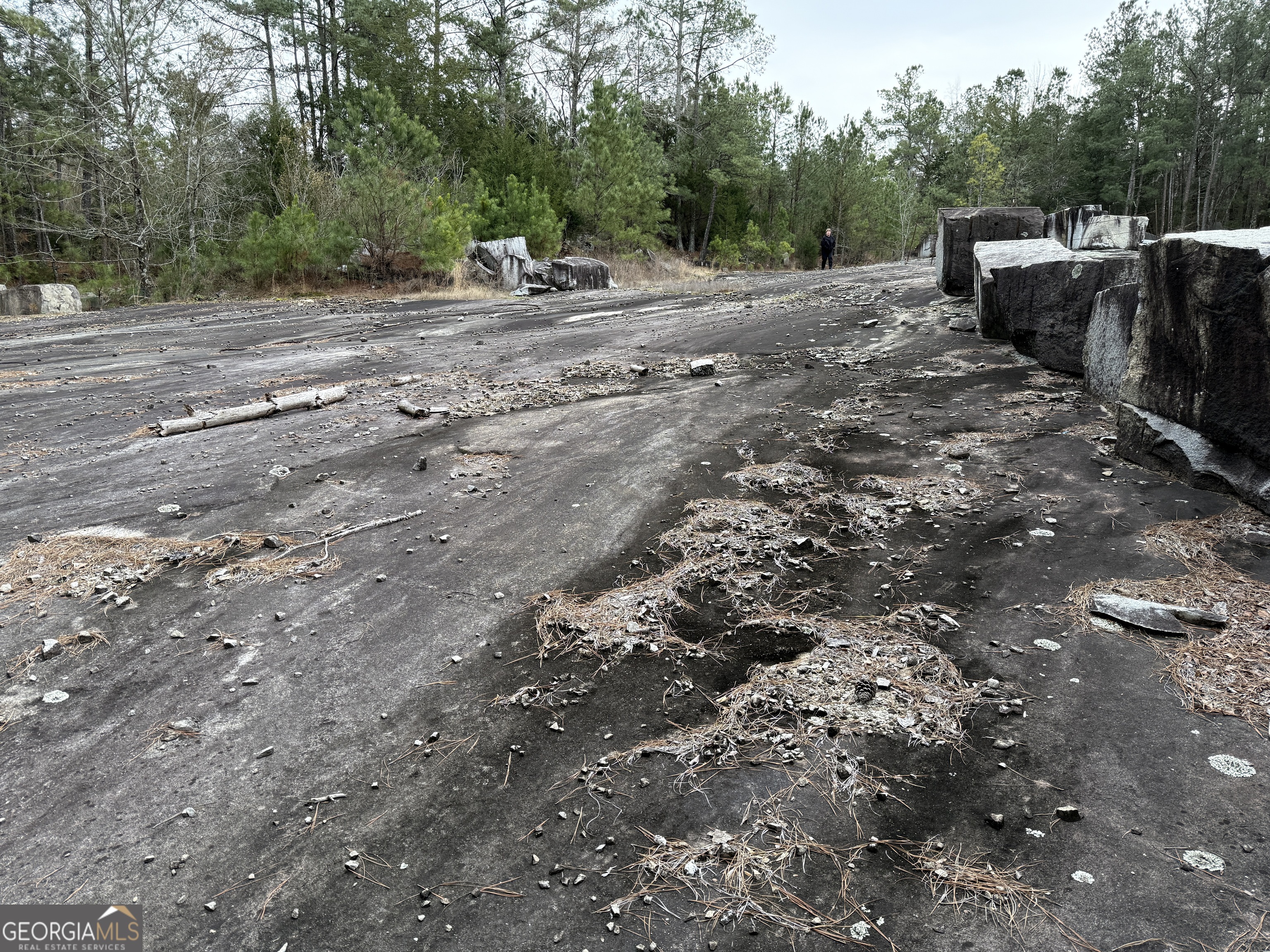 0 Veribest Road Carlton, GA 30627 - Photo 5 of 7