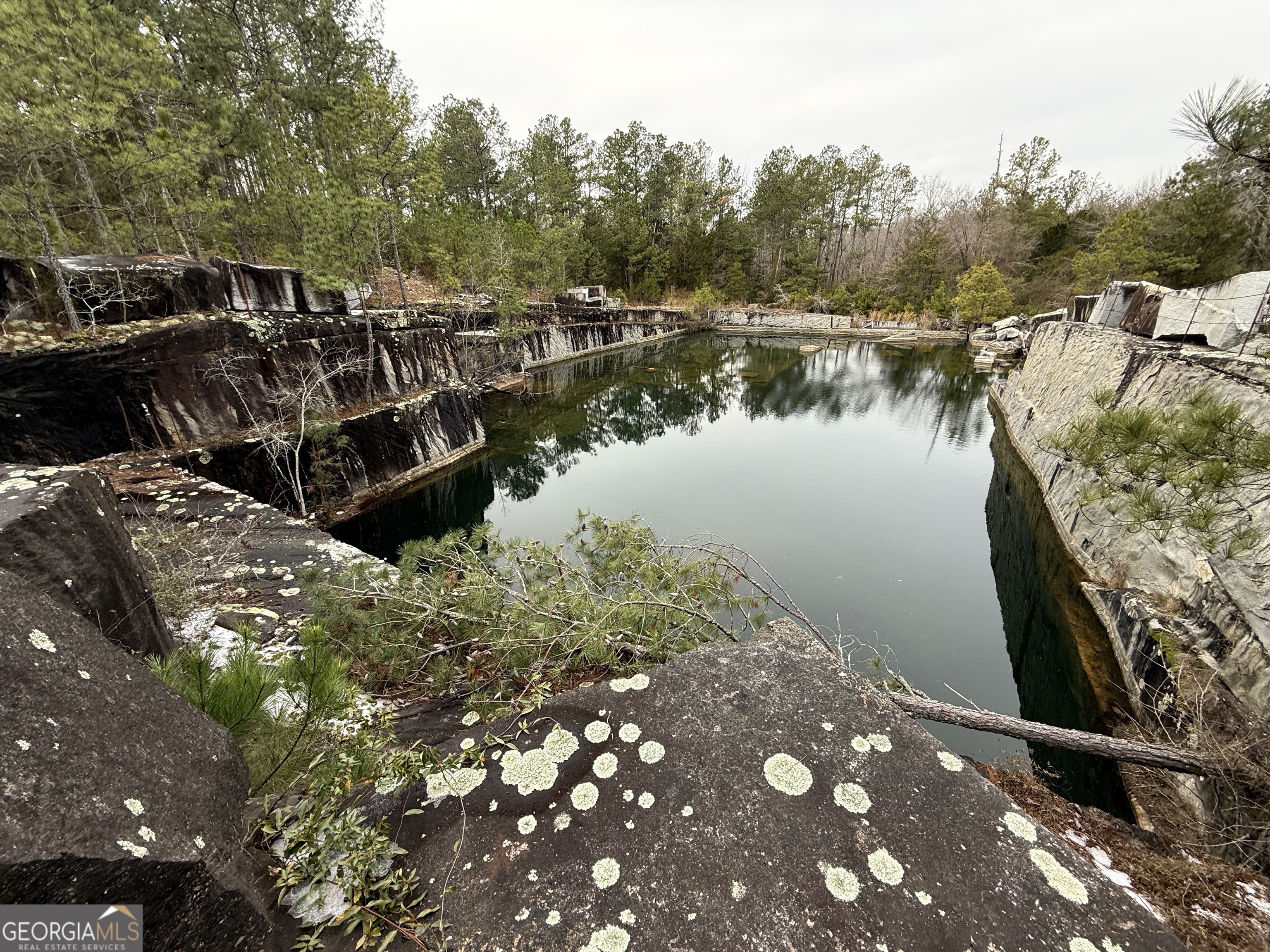 0 Veribest Road Carlton, GA 30627 - Photo 6 of 7