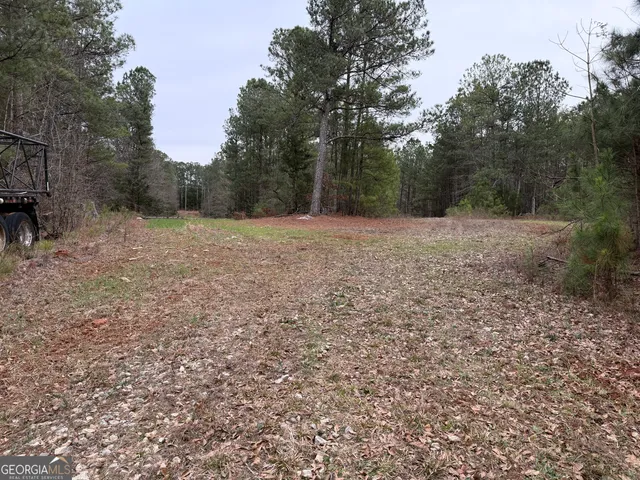 $165,000 | 0 Veribest Road, Carlton, GA 30627