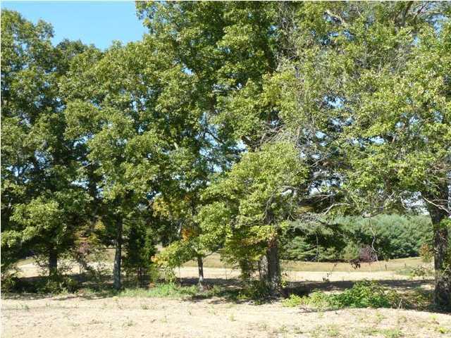 1677 Hudlow Loop Road Dunlap, TN 37327 - Photo 1 of 1 Primary Photo