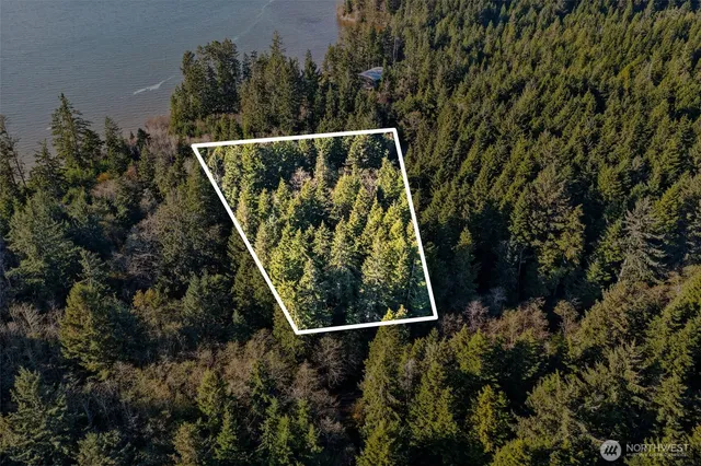 a view of a yard with plants and wooden fence