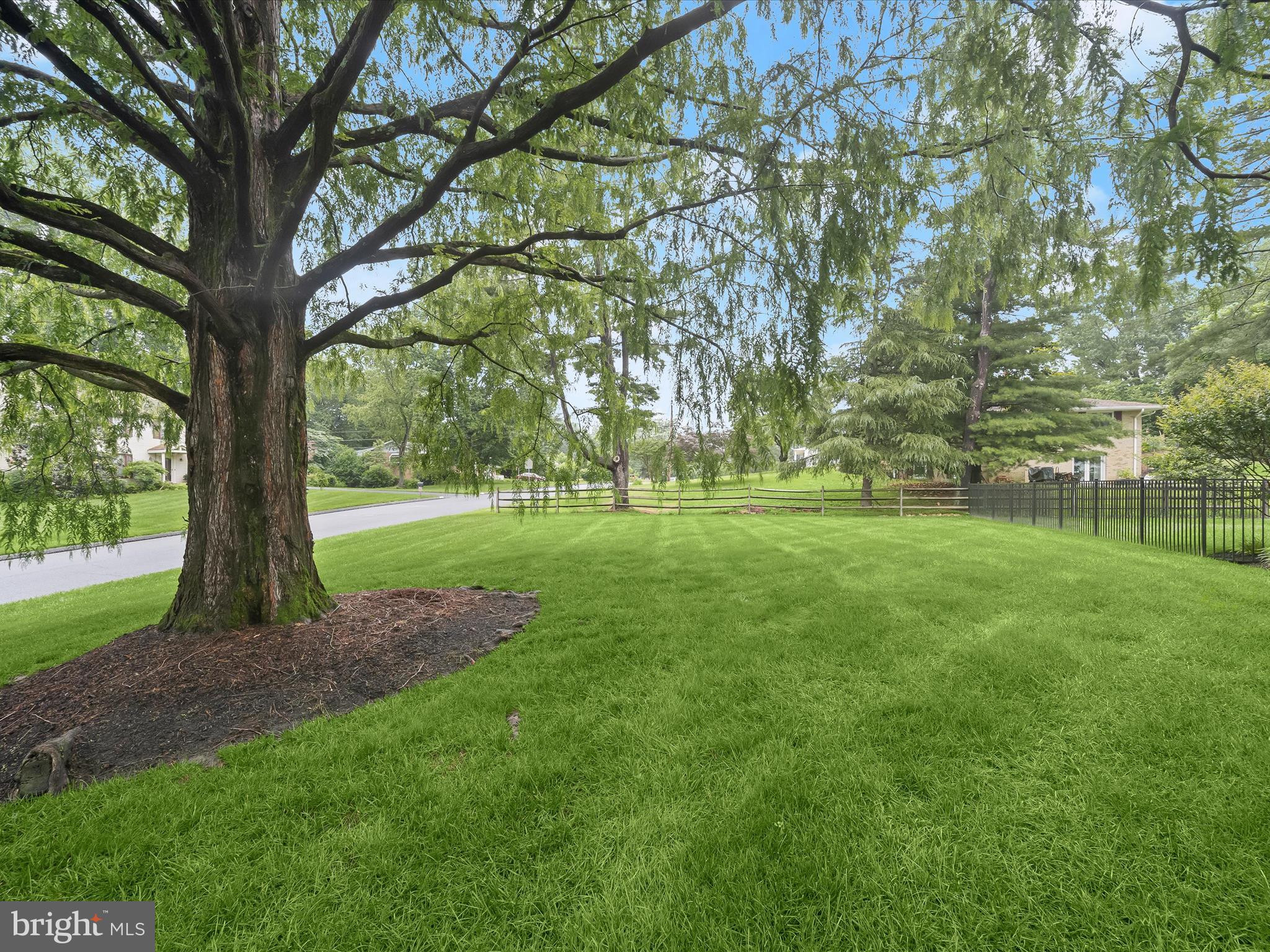 8018 Martown Road Laurel, MD 20723 - Photo 50 of 64 Landscaped yard