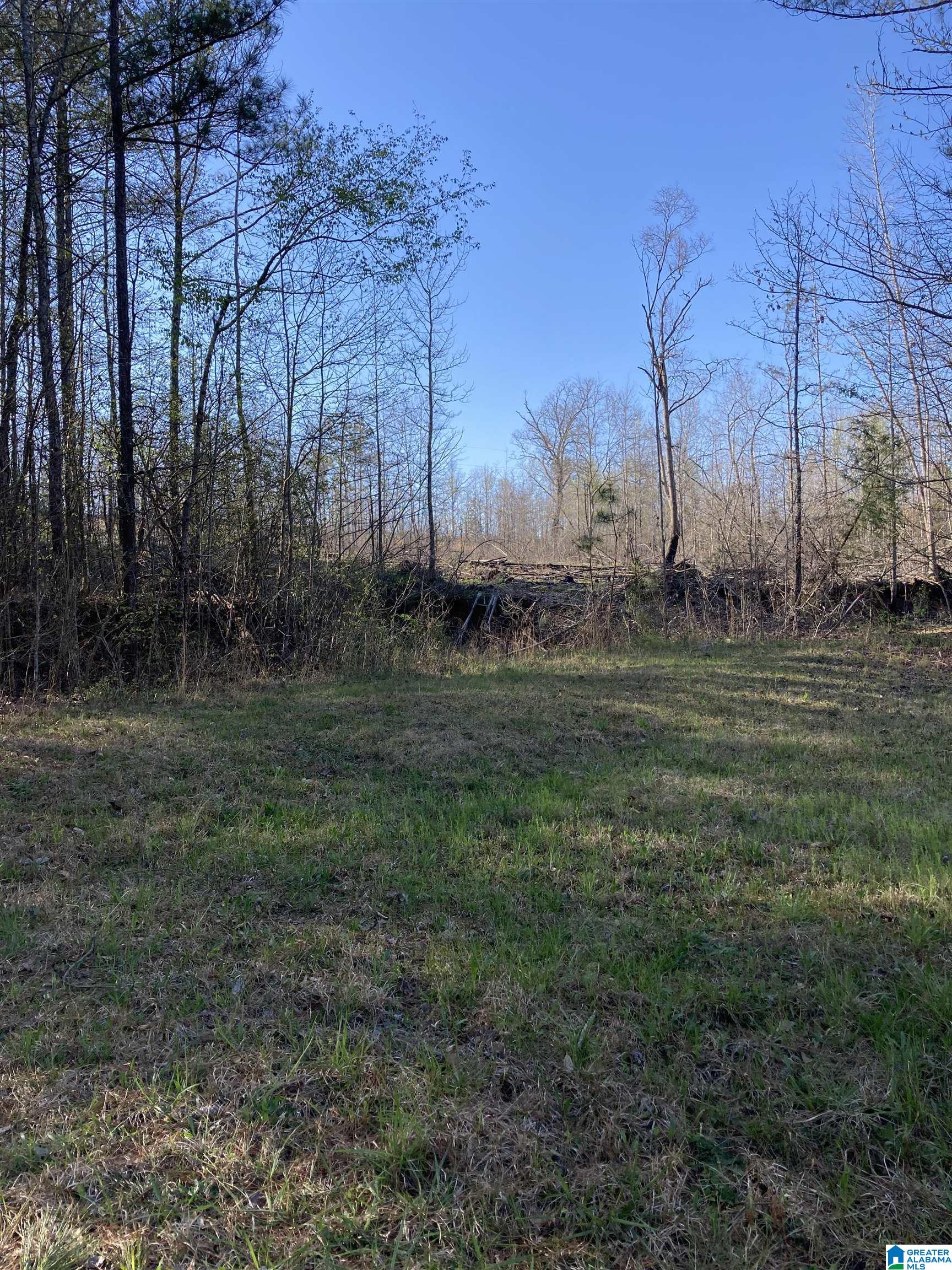0 Jackson Trace Road, Unit 4 1 Talladega, AL 35160 - Photo 2 of 27
