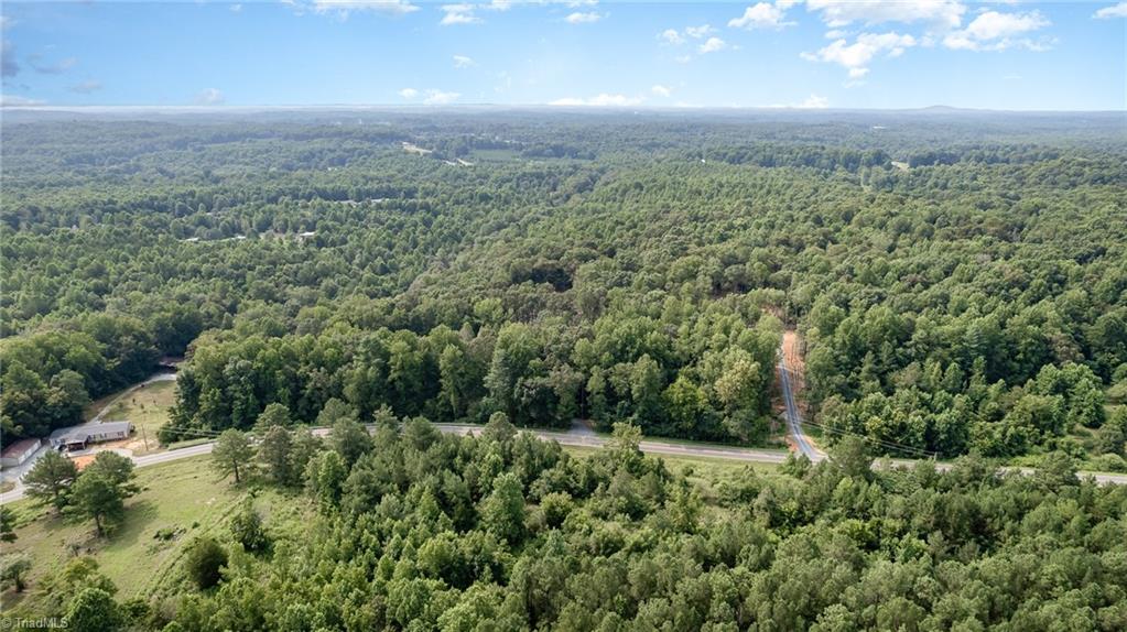 0 Low Bridge Road Franklinville, NC 27248 - Photo 2 of 13