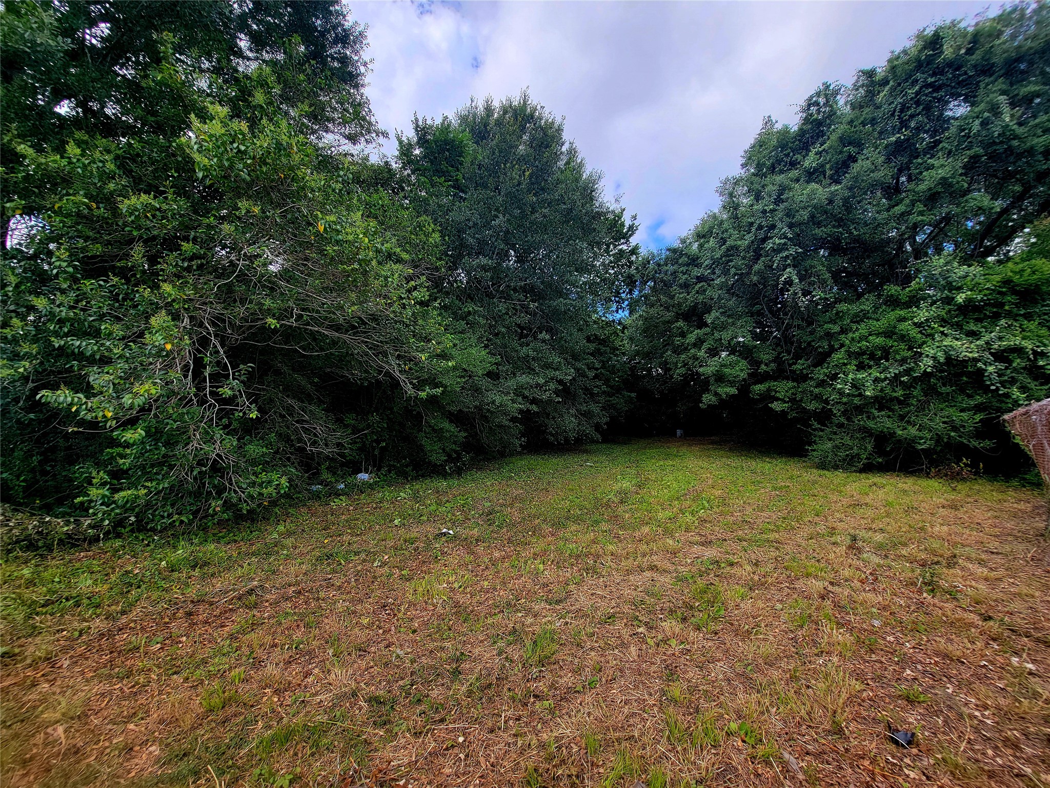 0 Allum Road Houston, TX 77045 - Photo 9 of 15 Rear of property at utility easement.