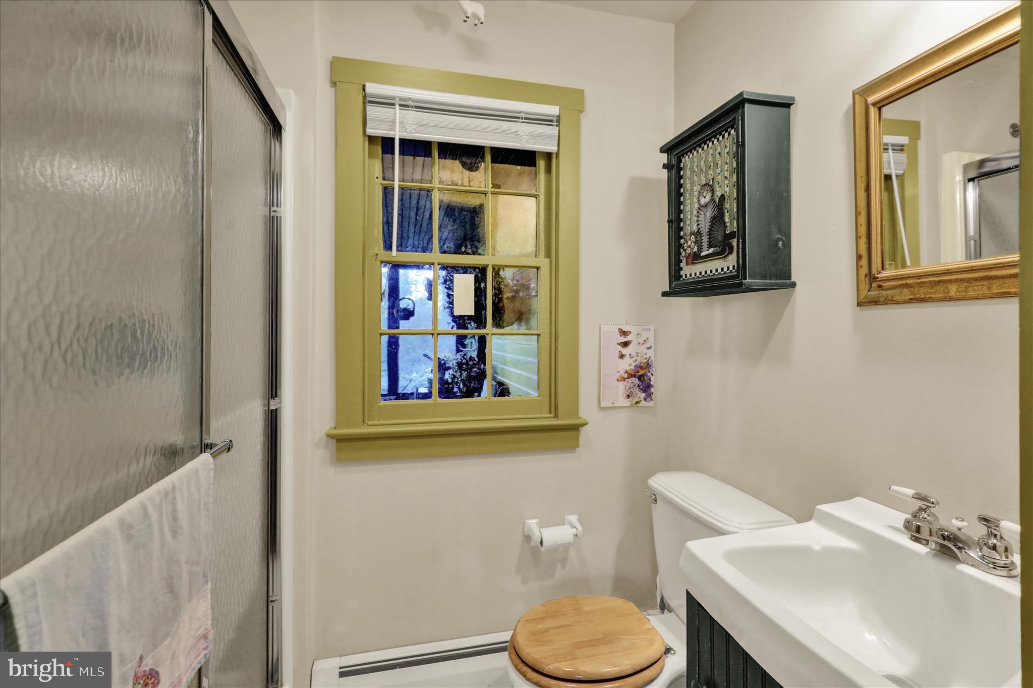 1095 Texter Mountain Road Denver, PA 17517 - Photo 25 of 78 360_3551