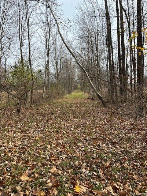 8438 Jordan Road Grand Blanc, MI 48439 - Photo 22 of 32