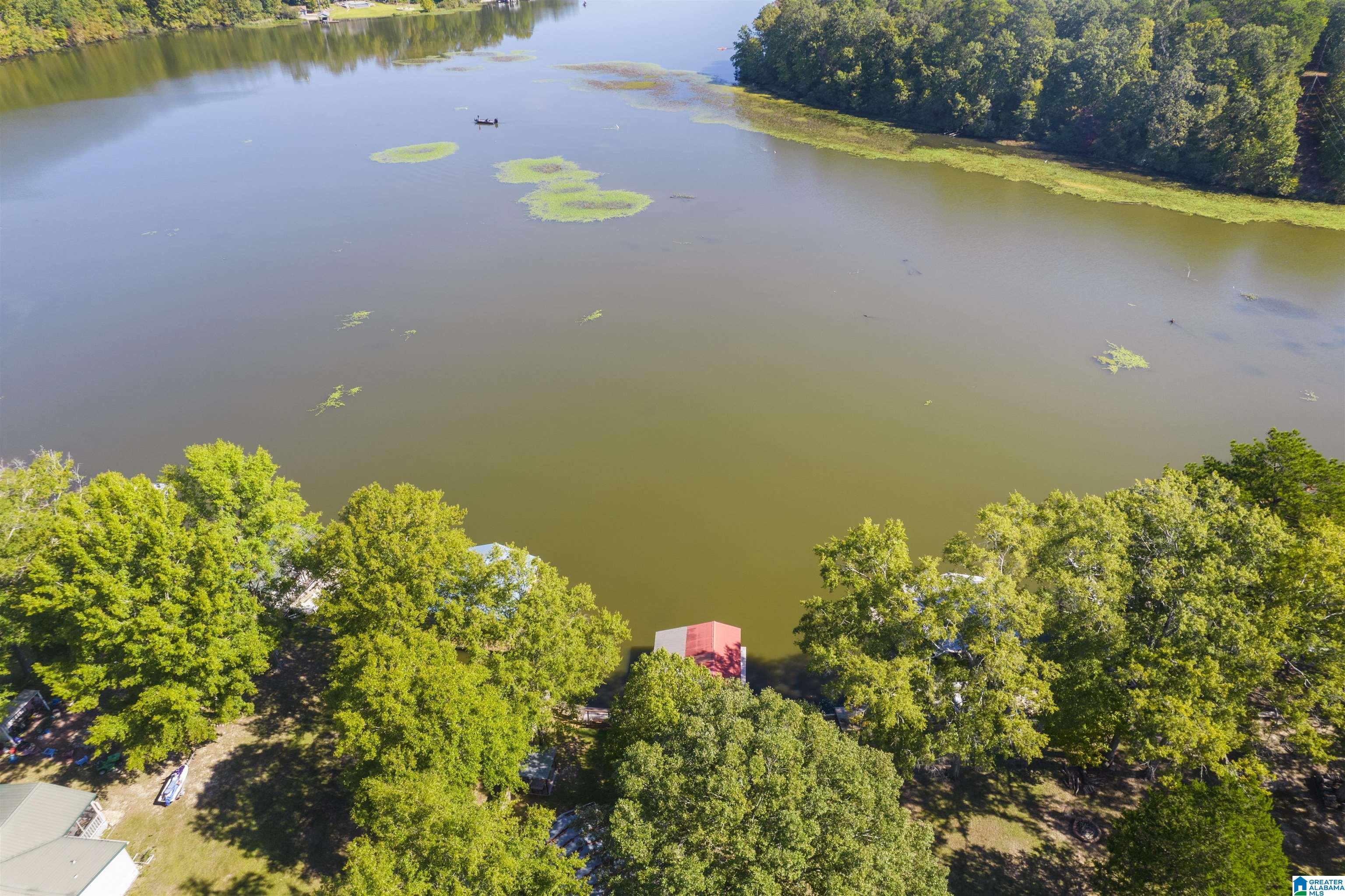 1398 White Oak Road Sylacauga, AL 35151 - Photo 9 of 49
