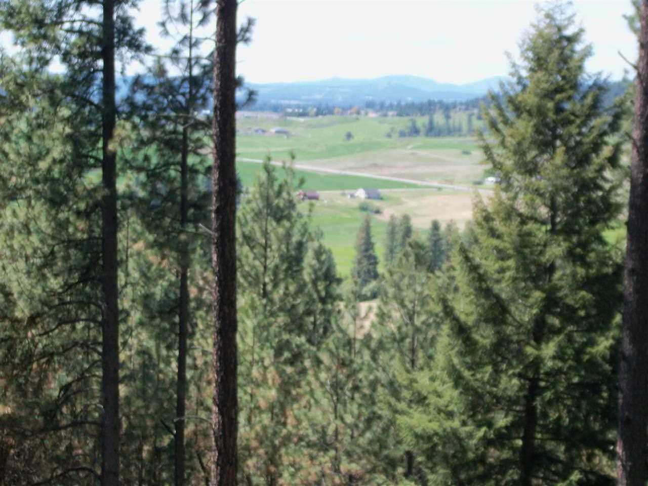 Xx Heglar Road Mead, WA 99021 - Photo 1 of 15