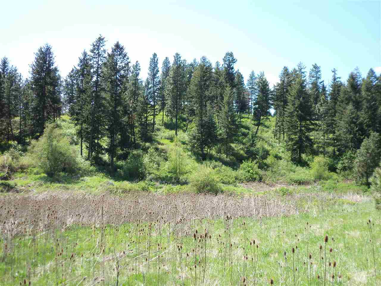 Xx Heglar Road Mead, WA 99021 - Photo 2 of 15
