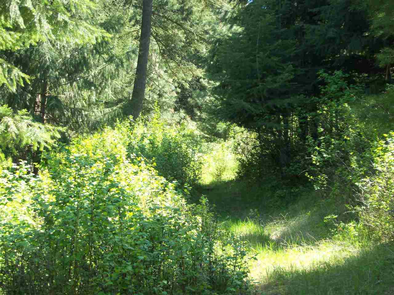 Xx Heglar Road Mead, WA 99021 - Photo 11 of 15