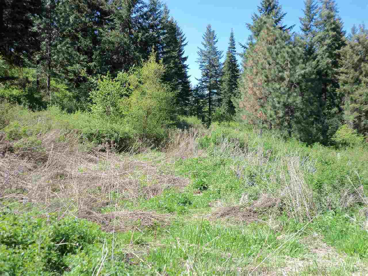 Xx Heglar Road Mead, WA 99021 - Photo 13 of 15