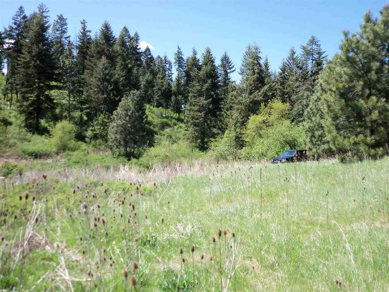 Xx Heglar Road Mead, WA 99021 - Photo 3 of 15