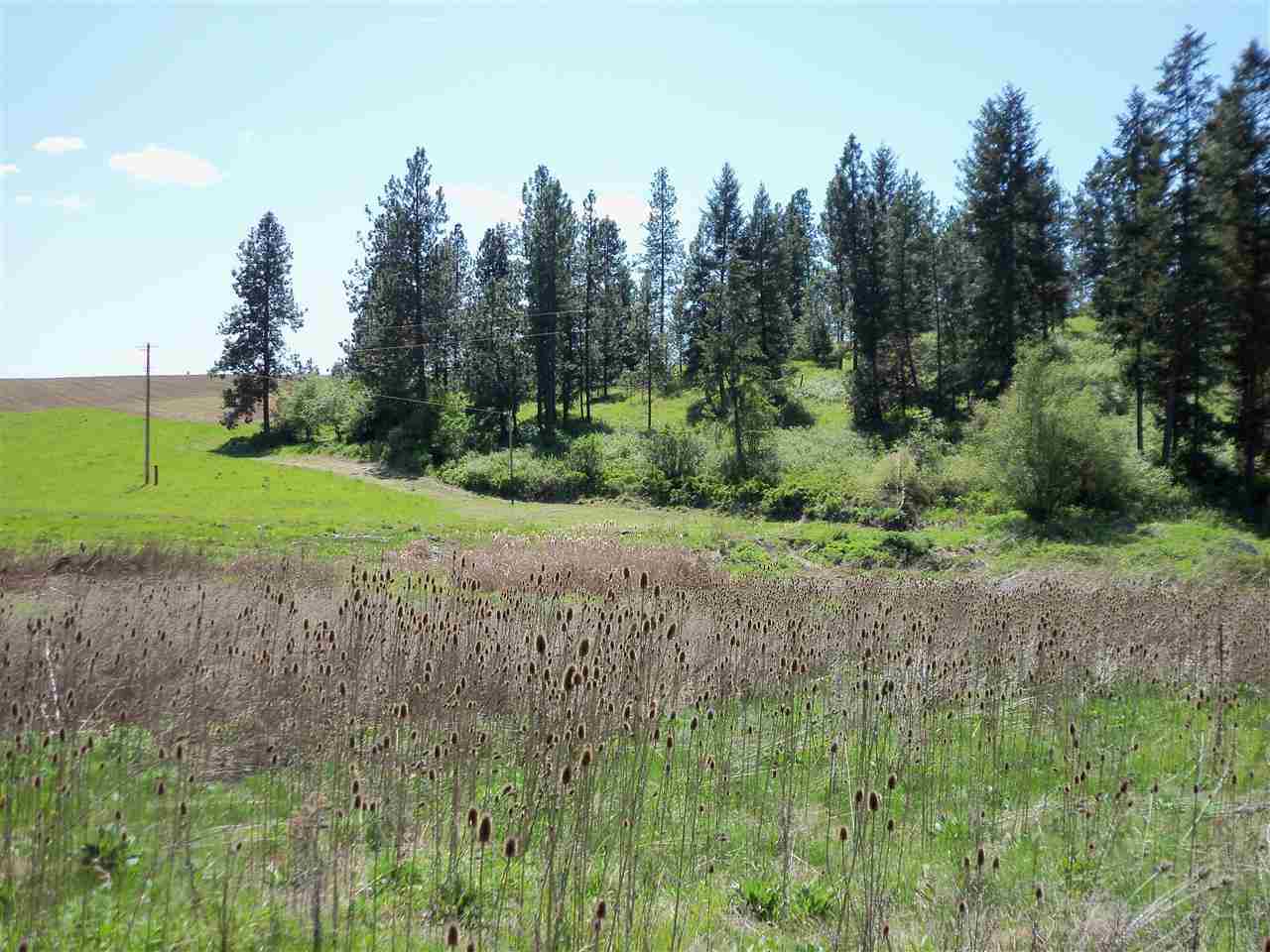 Xx Heglar Road Mead, WA 99021 - Photo 4 of 15