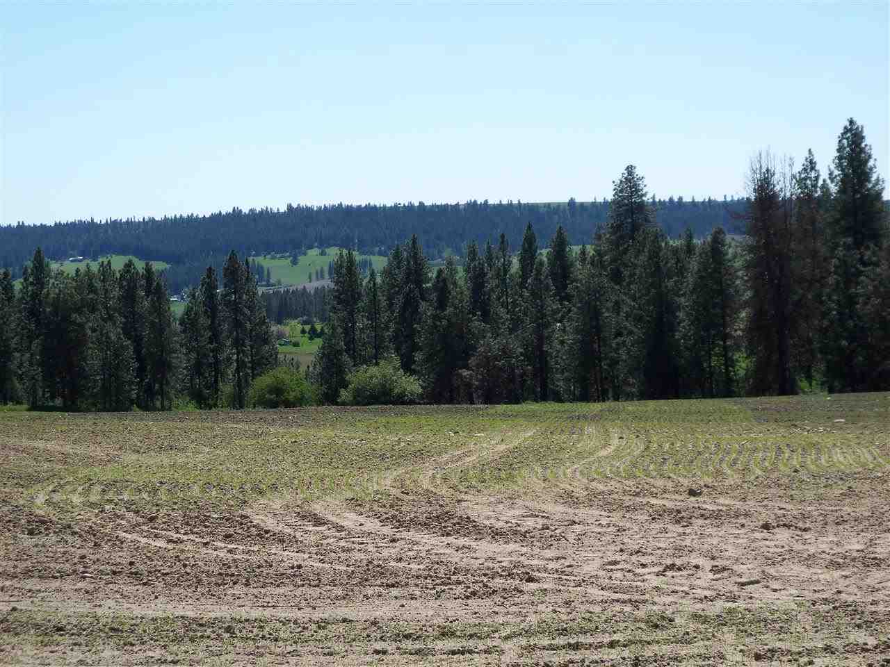 Xx Heglar Road Mead, WA 99021 - Photo 6 of 15