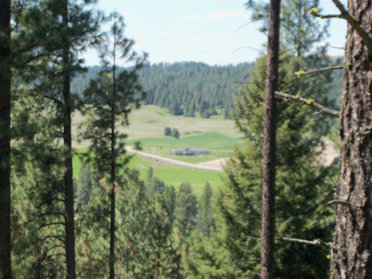 Xx Heglar Road Mead, WA 99021 - Photo 8 of 15