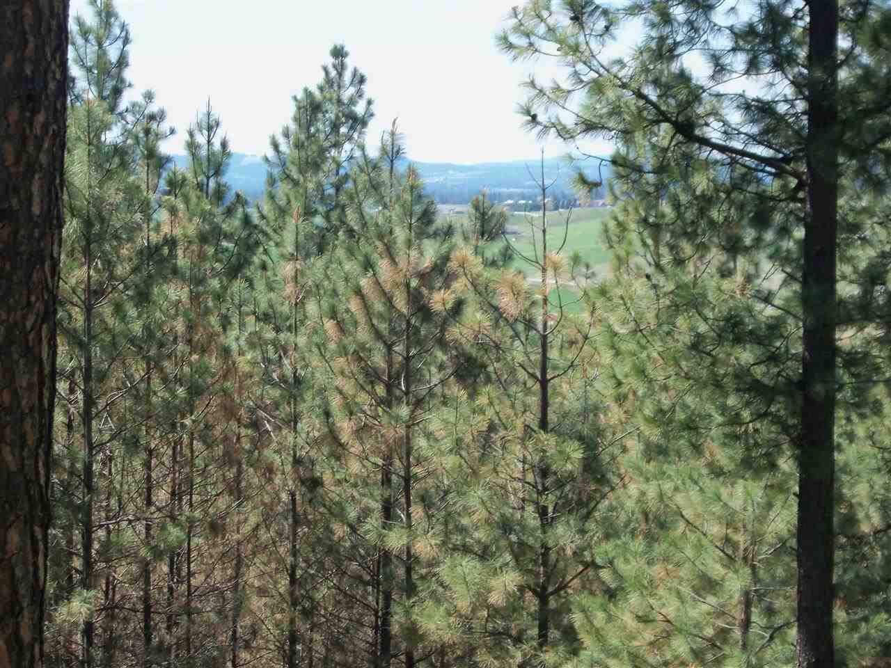 Xx Heglar Road Mead, WA 99021 - Photo 9 of 15