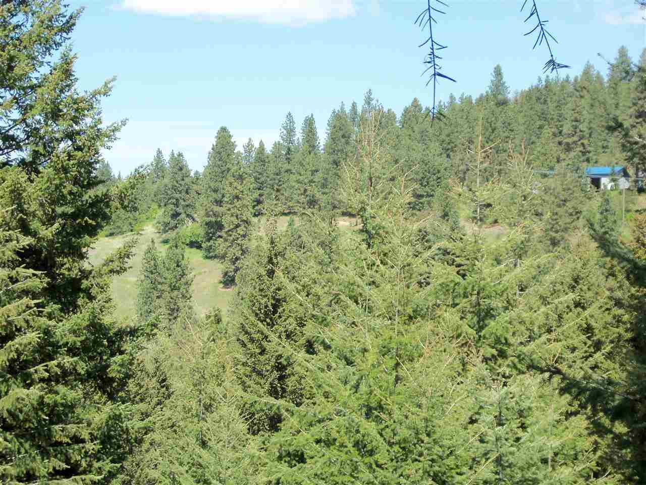 Xx Heglar Road Mead, WA 99021 - Photo 10 of 15