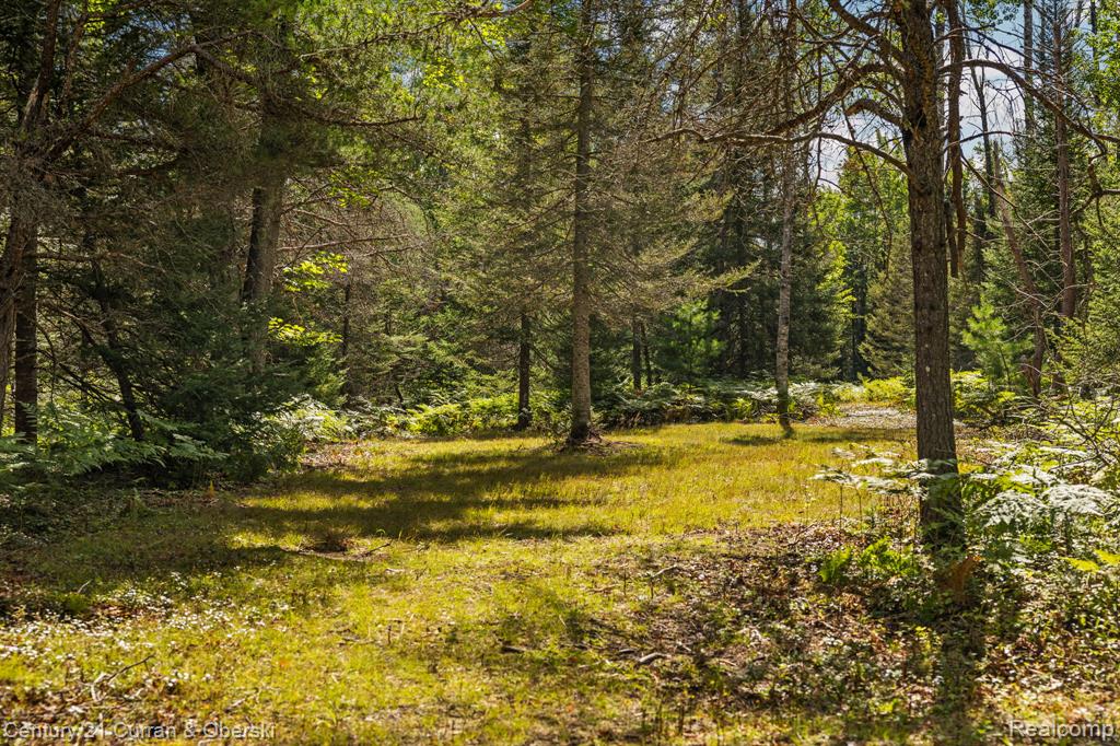 3265 Roost Road Onaway, MI 49765 - Photo 38 of 51