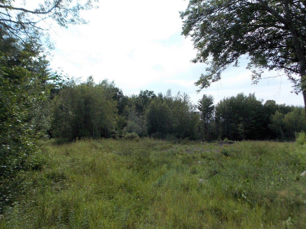 Lot 14 Brooks Road Templeton, MA 01468 - Photo 1 of 2 Gallery Image 1