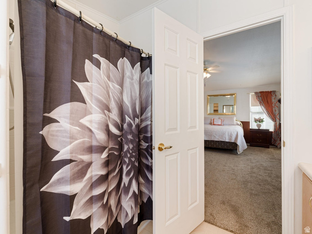 3941 West 40 North Hurricane, UT 84737 - Photo 25 of 55 Interior space featuring a white six-panel door with brass hardware and light brown carpeting