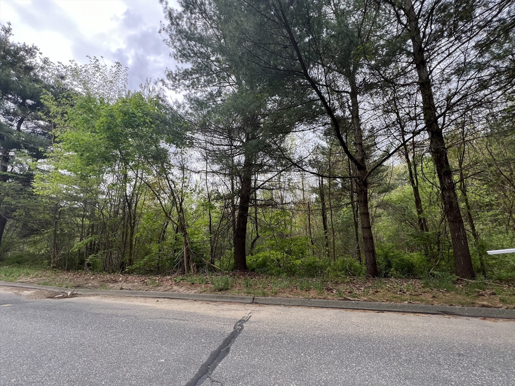 39-42 Lawrence Palmer, MA 01069 - Photo 2 of 8