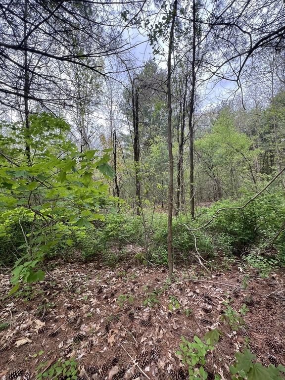 39-42 Lawrence Palmer, MA 01069 - Photo 3 of 8