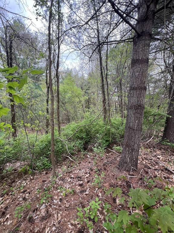 39-42 Lawrence Palmer, MA 01069 - Photo 4 of 8