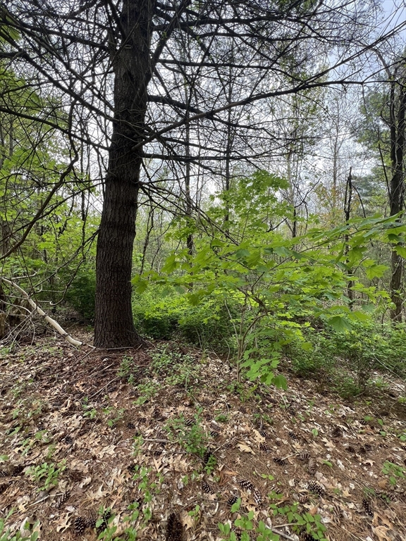 39-42 Lawrence Palmer, MA 01069 - Photo 5 of 8