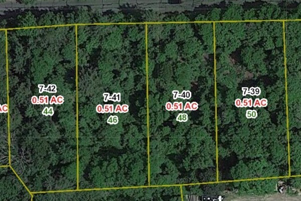 39-42 Lawrence Palmer, MA 01069 - Photo 6 of 8