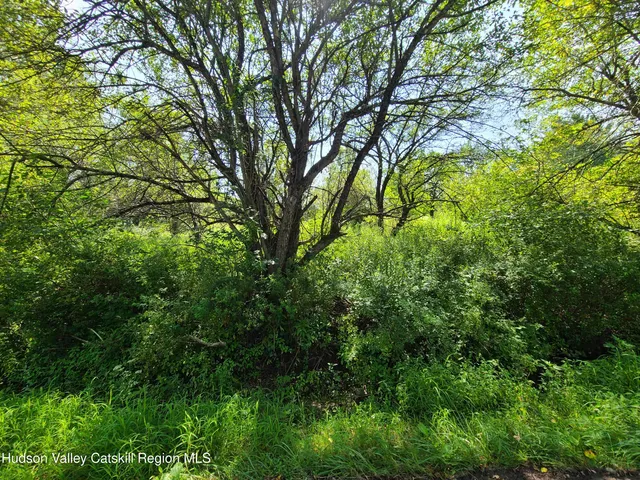 $349,900 | 153 Shore Road, Swan Lake, NY 12783