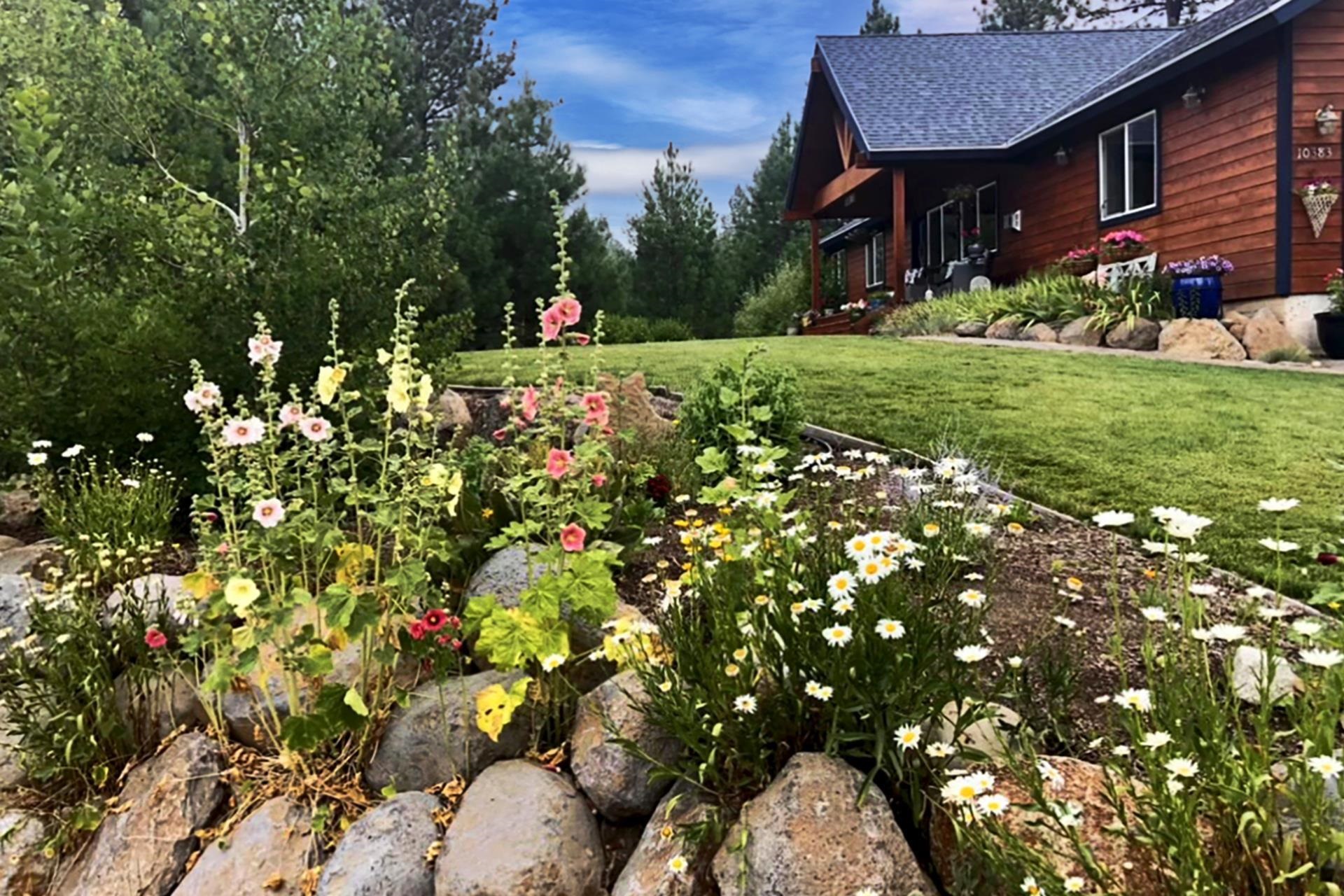 a view of a house with a yard and tree s