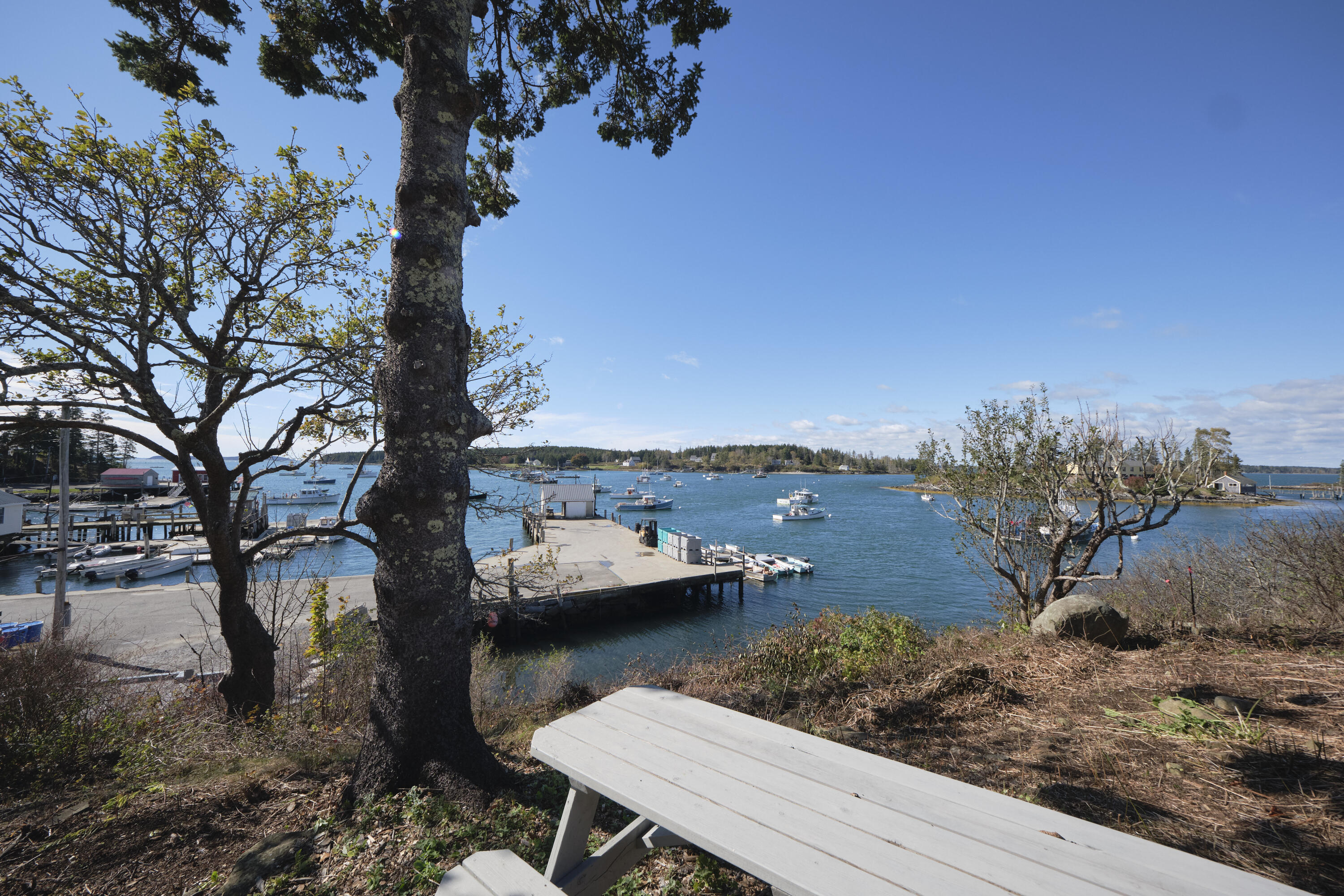 16 Raspberry Lane St. George, ME 04860 - Photo 30 of 34 39 - 16 Raspberry Lane - Port Clyde - JA