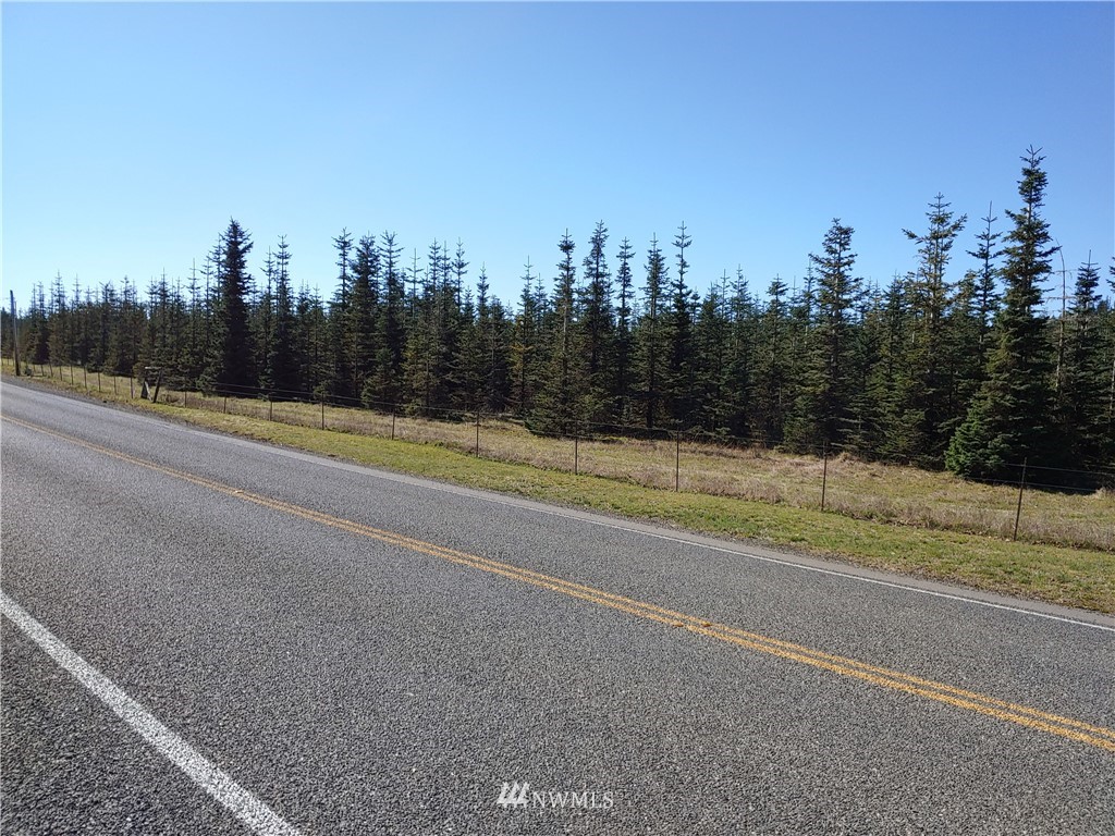 0 Middle Satsop Road Montesano, WA 98563 - Photo 3 of 5 Gallery Image 3