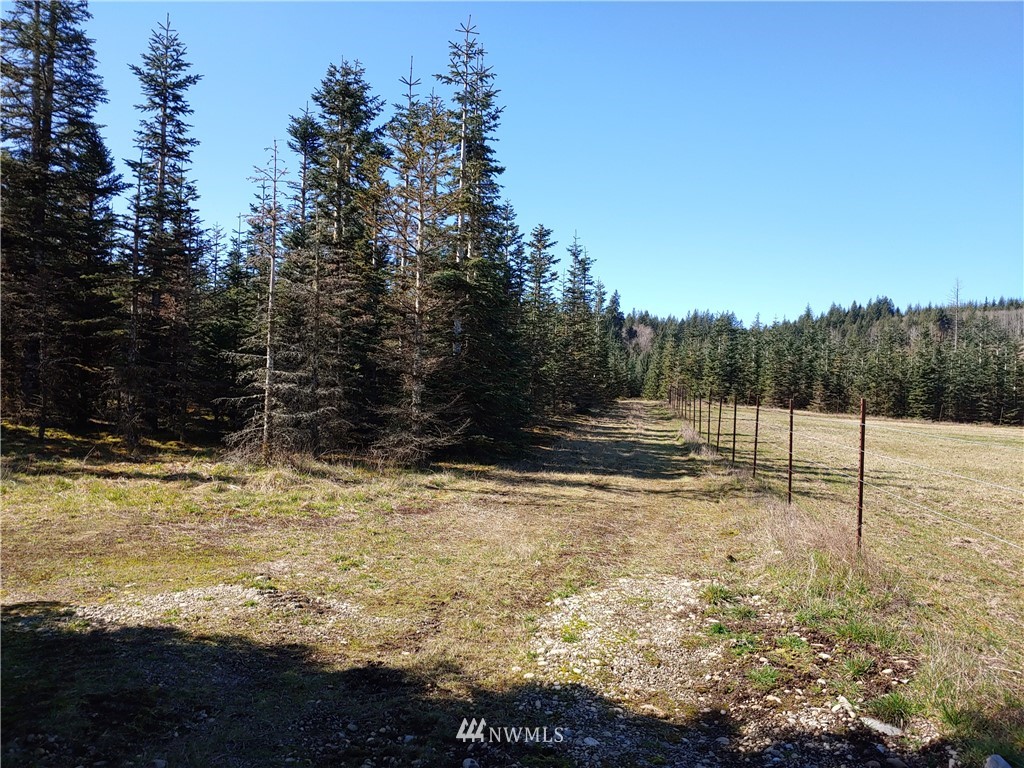 0 Middle Satsop Road Montesano, WA 98563 - Photo 4 of 5 Gallery Image 4