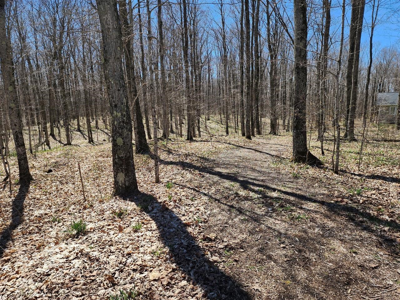 34 Goshawk Ridge Traverse City, MI 49684 - Photo 10 of 21