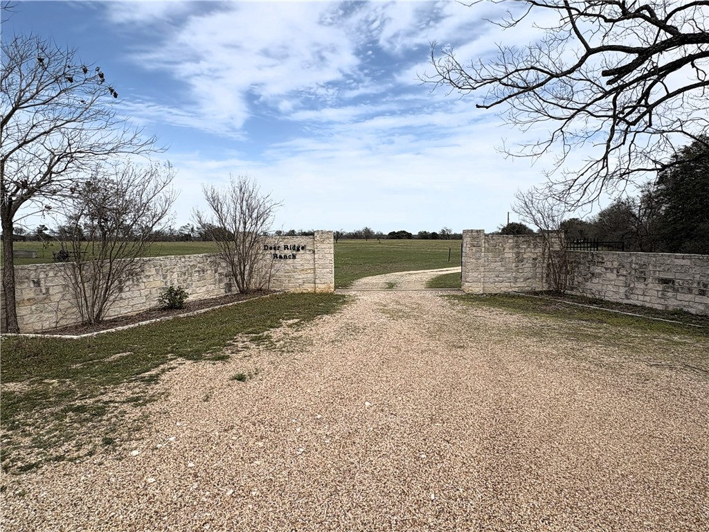 17452 Deer Ridge Road Moody, TX 76557 - Photo 55 of 60 a street view with large trees