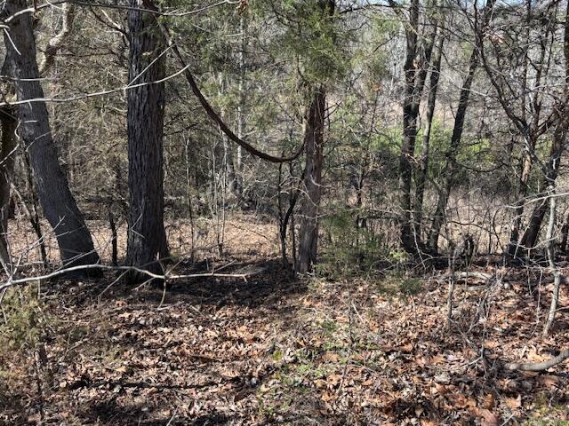 2347 Dreyfus Road Waco, KY 40385 - Photo 22 of 32 IMG_7730