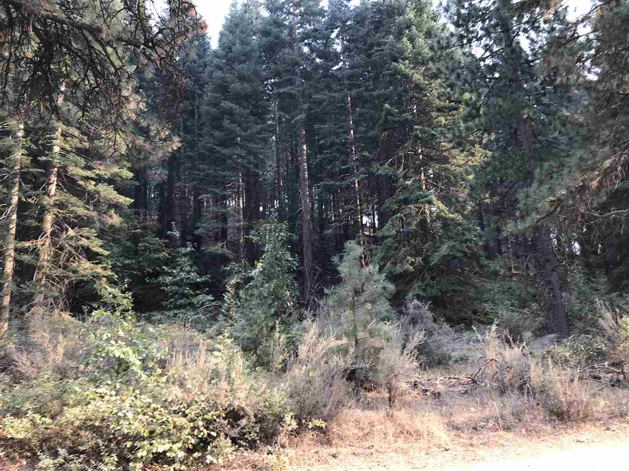 Lot 38 Sugarpine Road Weed, CA 96094 - Photo 5 of 8 Gallery Image 5