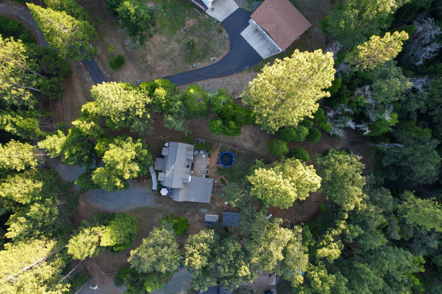 2708 Illinois Canyon Road Georgetown, CA 95634 - Photo 39 of 50