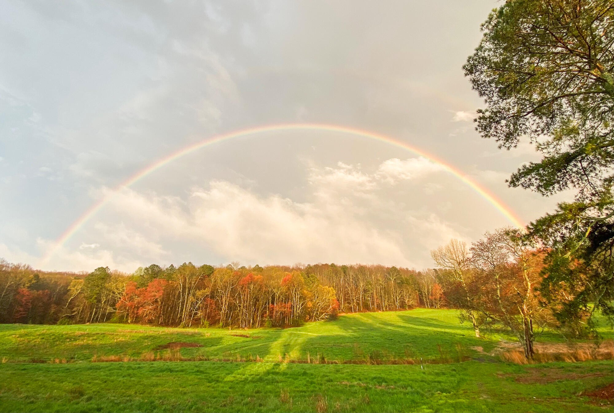 55295531 Blue Springs Road Cleveland, TN 37311 - Photo 82 of 82 Gallery Image 82