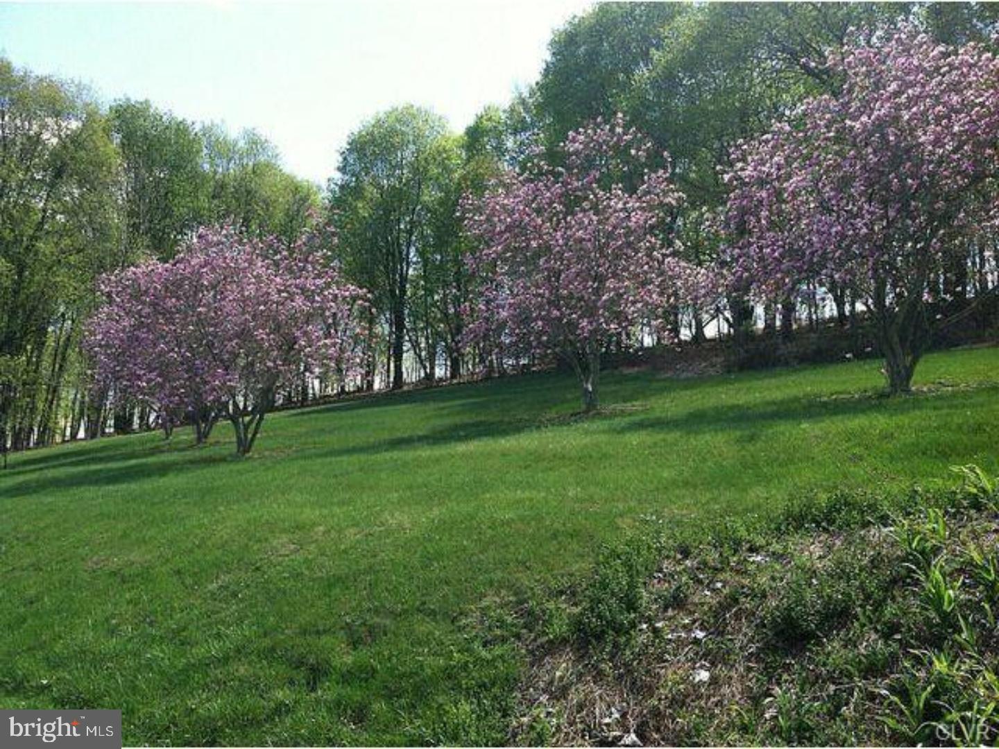 329 Monocacy Drive Bath, PA 18014 - Photo 18 of 25