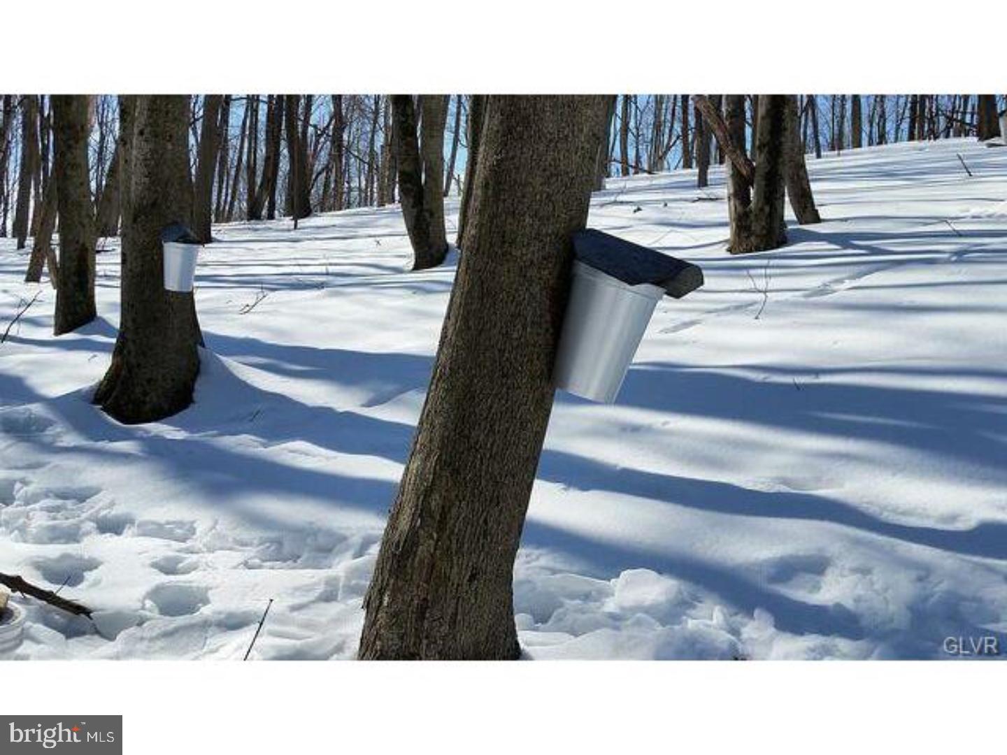 329 Monocacy Drive Bath, PA 18014 - Photo 20 of 25