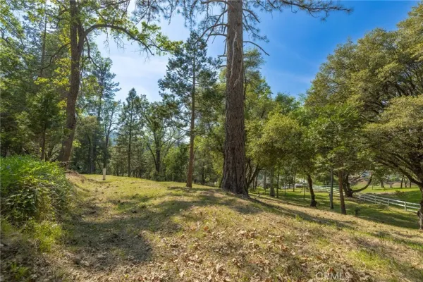 a view of outdoor space with trees all around