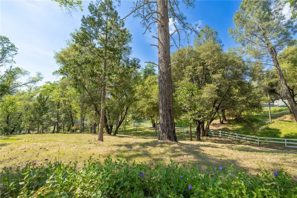 1 Oak Oakhurst, CA 93644 - Photo 11 of 48 a view of outdoor space with trees
