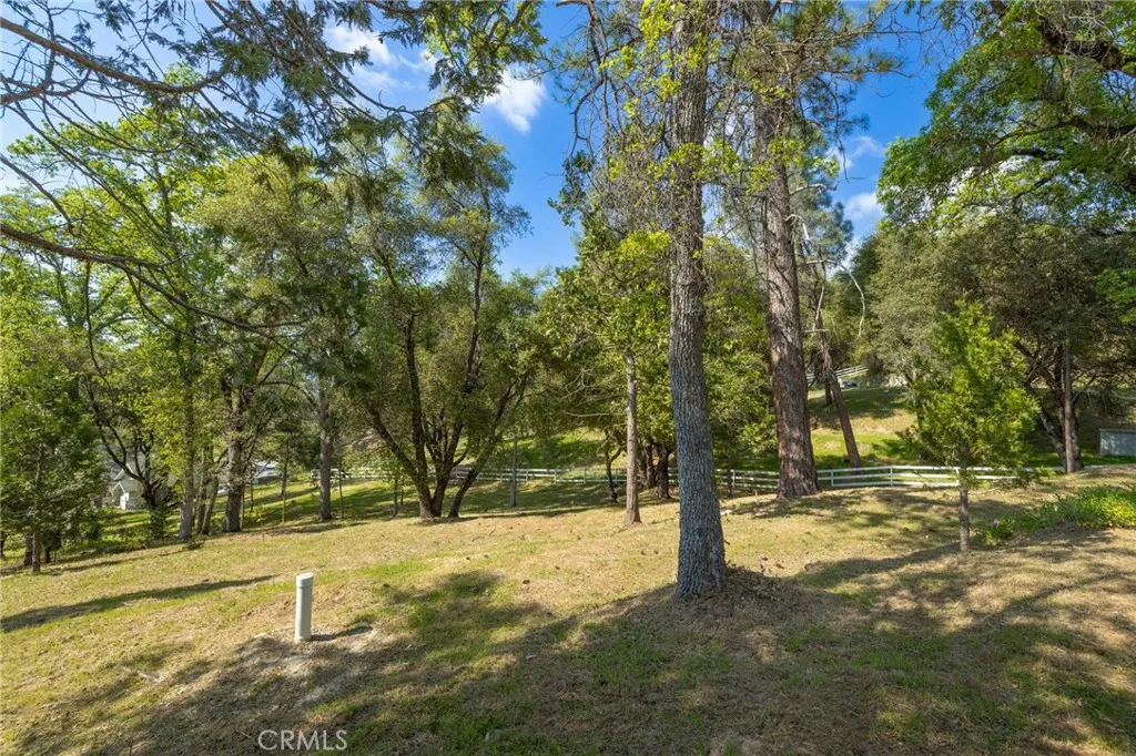 1 Oak Oakhurst, CA 93644 - Photo 12 of 48 a view of yard with trees