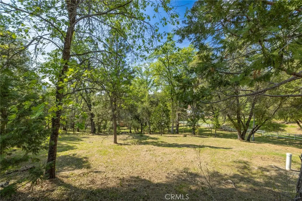 1 Oak Oakhurst, CA 93644 - Photo 13 of 48 a view of yard