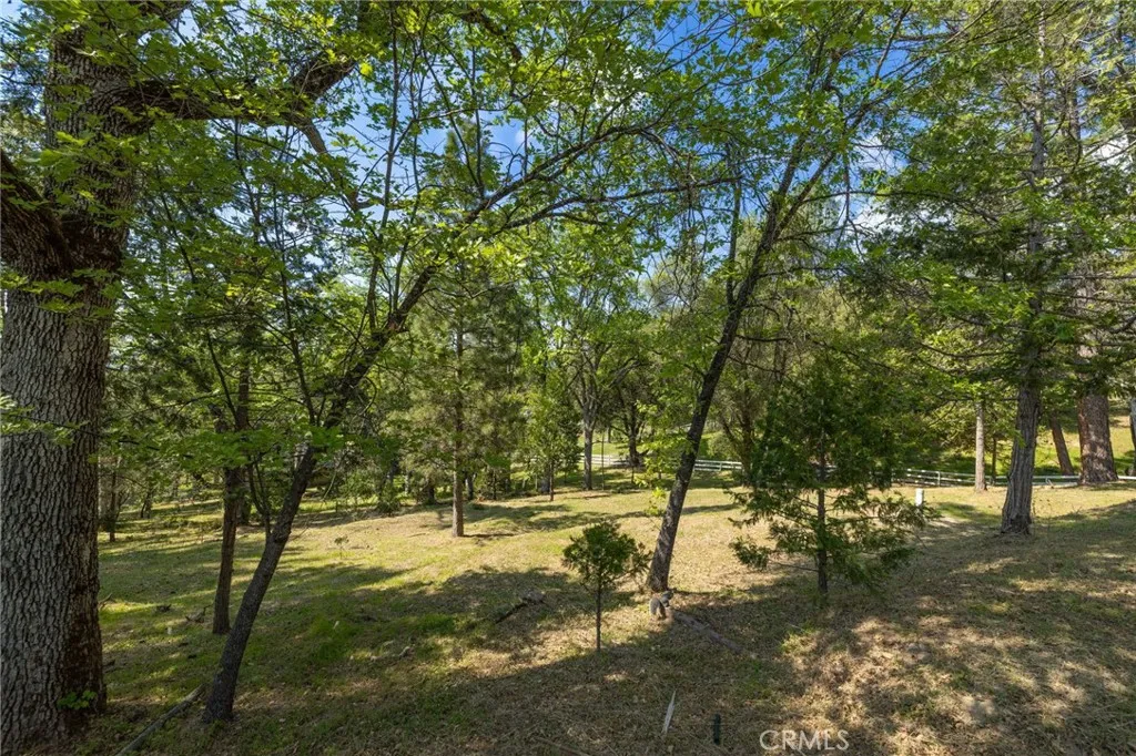 1 Oak Oakhurst, CA 93644 - Photo 14 of 48 a view of yard with trees